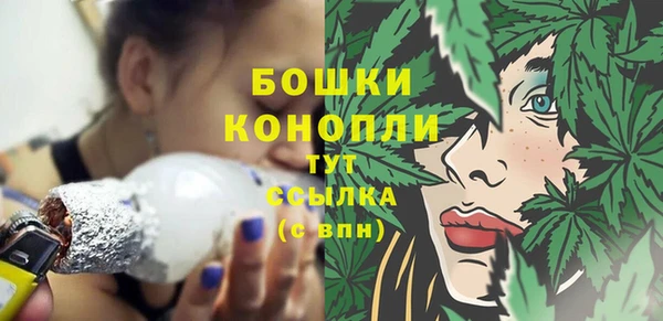 стаф Семилуки