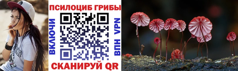 Галлюциногенные грибы GOLDEN TEACHER  наркошоп  Аша 