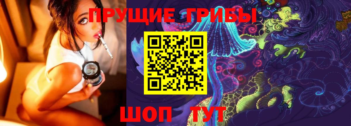 Галлюциногенные грибы MAGIC MUSHROOMS  что такое   Аша  Вход с VPN  Псилоцибиновые грибы Psilocybine cubensis 